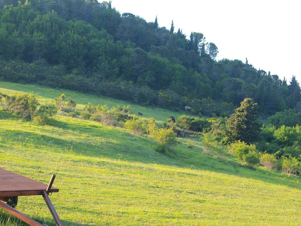 Agriturismo Becerca Vegan Serra San Quirico المظهر الخارجي الصورة