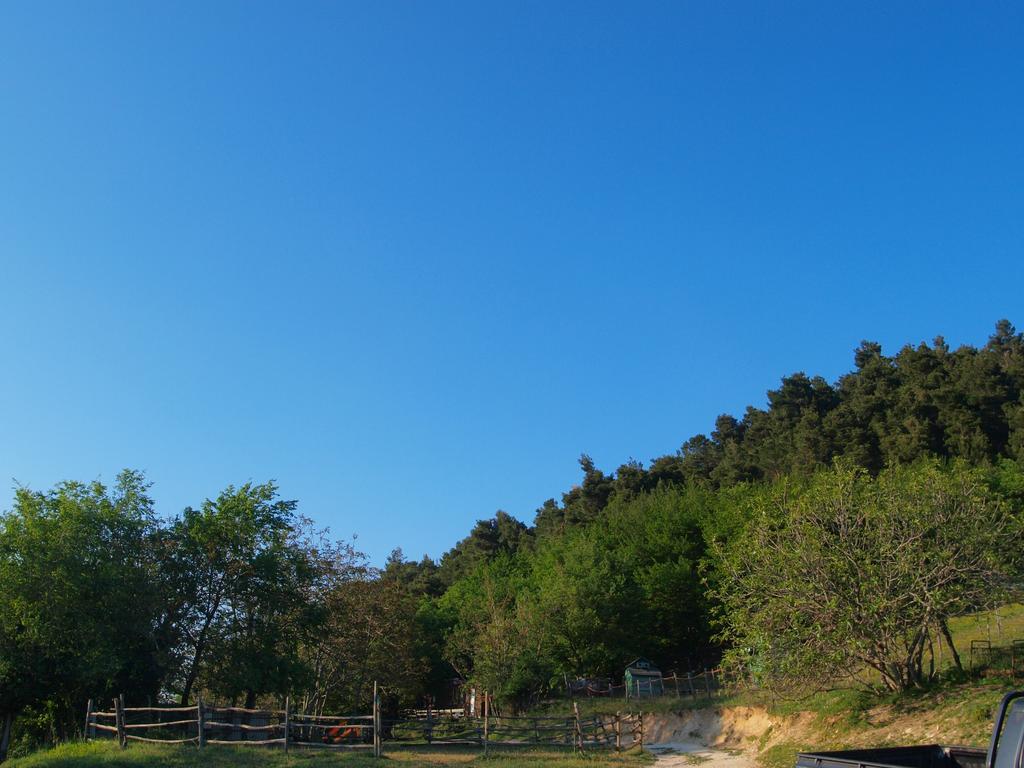 Agriturismo Becerca Vegan Serra San Quirico المظهر الخارجي الصورة