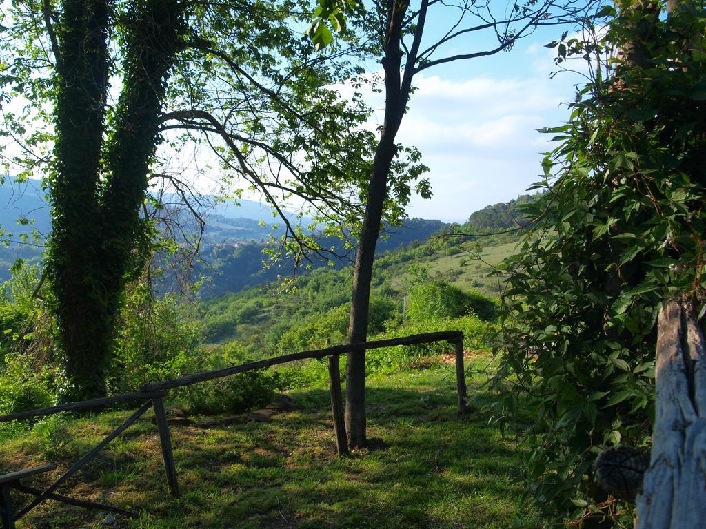 Agriturismo Becerca Vegan Serra San Quirico المظهر الخارجي الصورة